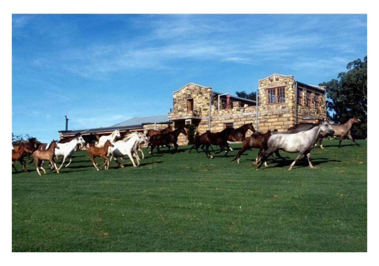 Moolmanshoek Private Game Reserve Fouriesburg Bagian luar foto